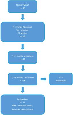 Efficacy of a Combined Treatment of Botulinum Toxin and Intensive Physiotherapy in Hereditary Spastic Paraplegia